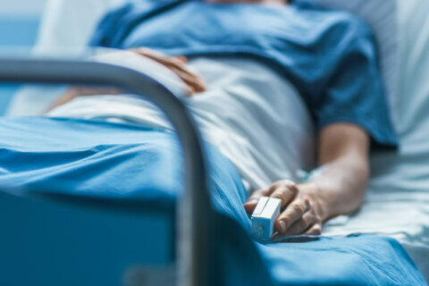 Risk of dementia nearly three times higher one year after stroke: study