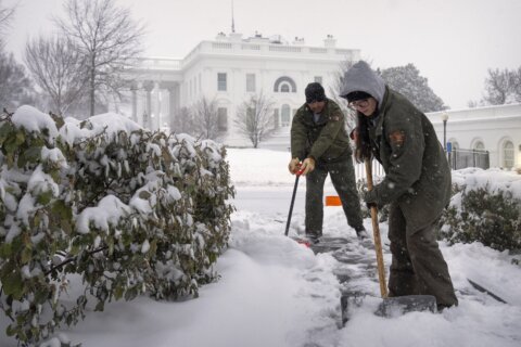 2nd round of snowstorm dumped more flakes on DC area, shut down Reagan National runways