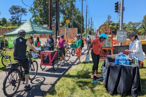 Things to do in the DC area: Trolley Trail Day, Dragon Boat Festival … and more!